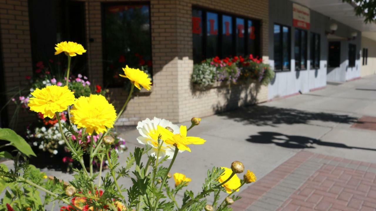 Elite Hotel -Downtown Center- "Ski & Northern Light Tour" "Hot Spring Tour "Long-Term Stay" Whitehorse Exterior photo